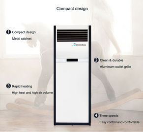 Golden Sun Series Cabinet Warm Air Conditioning PTC Fan Heater